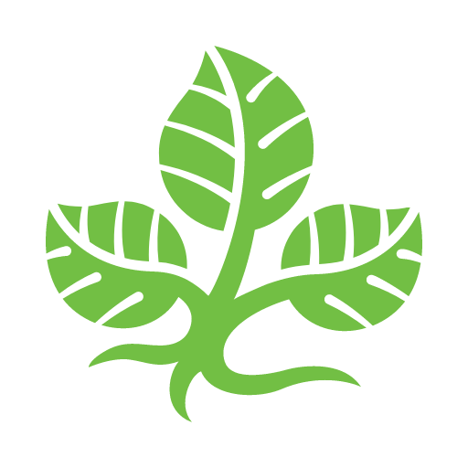 myHFD App Logo